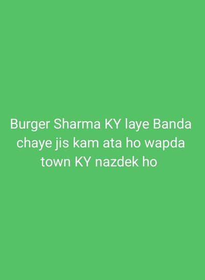 Asa Banda chaye Jo fries banana. Janata ho fast food ka Thora KaJanta