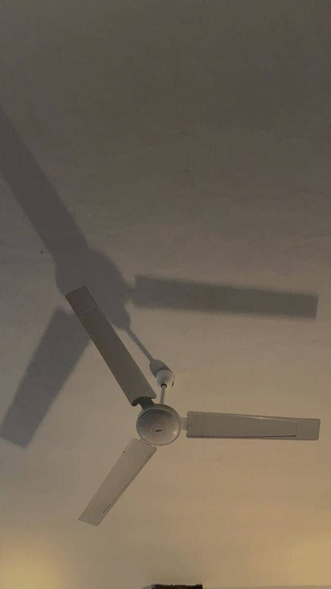 ceiling fan 1