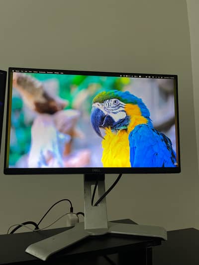 Dell P2219H 22 Inch IPS FHD Monitor HDMI DP VGA USB