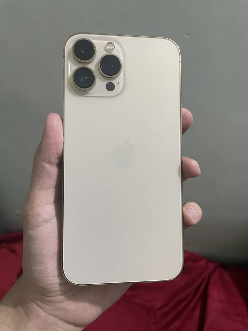 Apple iPhone 13 Pro Max 0