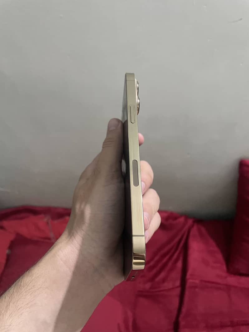 Apple iPhone 13 Pro Max 1