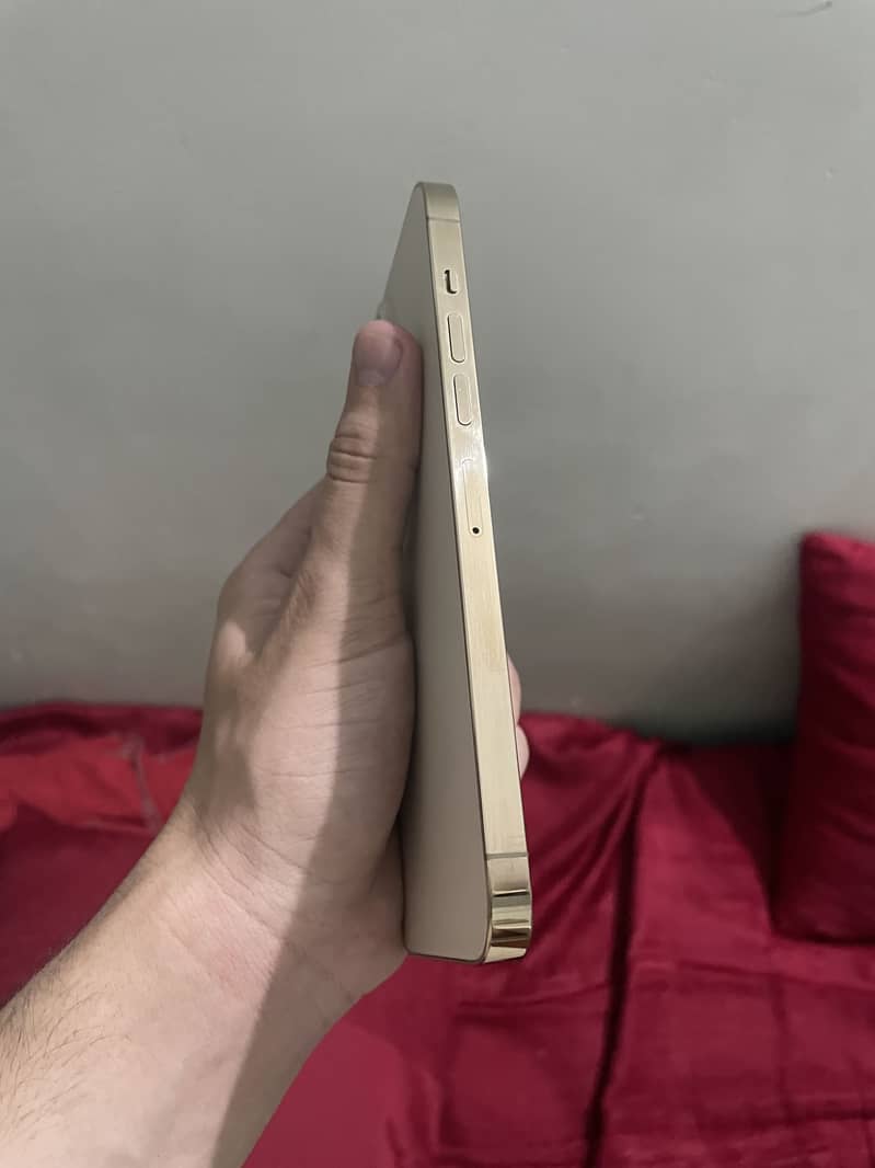 Apple iPhone 13 Pro Max 2