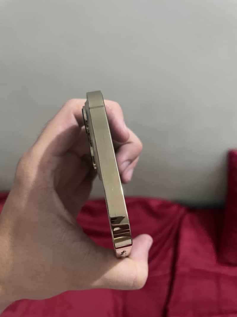 Apple iPhone 13 Pro Max 3