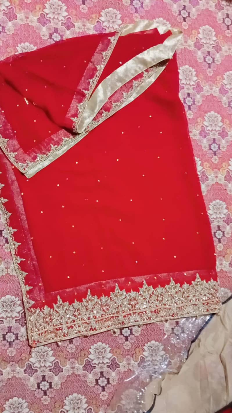 lehnga 1