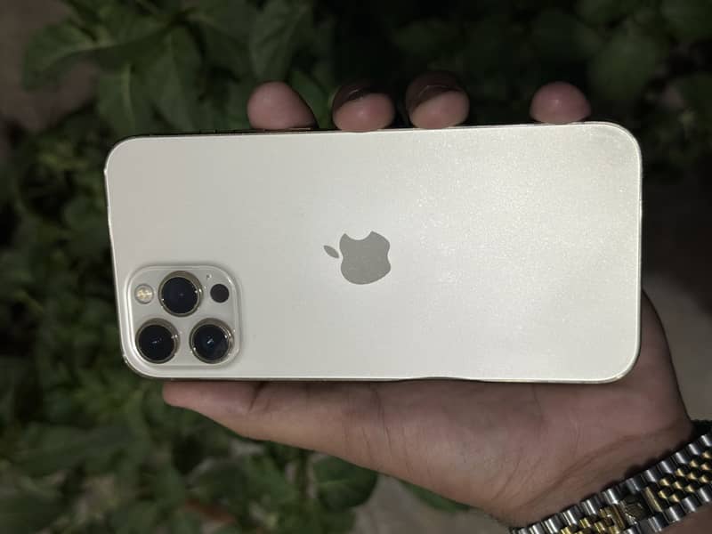 Apple iPhone 12 Pro Max 0