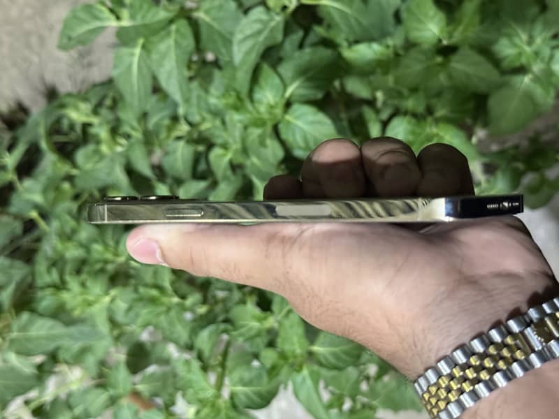 Apple iPhone 12 Pro Max 1