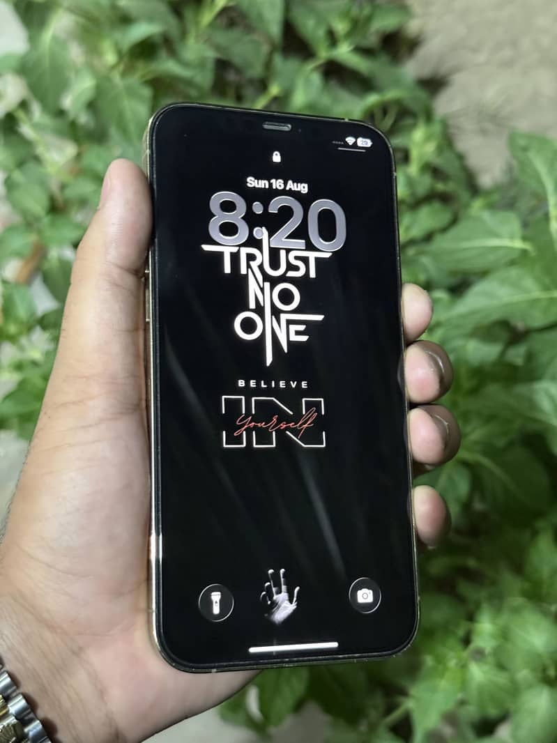 Apple iPhone 12 Pro Max 2