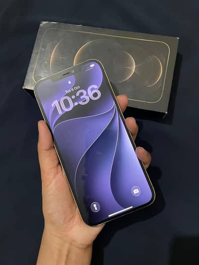 IPHONE 12 PRO MAX | DUAL APPROVED | WITH ORIGINAL BOX / CHARGER |