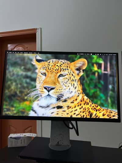Dell P2422H 24 Inch IPS FHD Monitor HDMI DP VGA USB