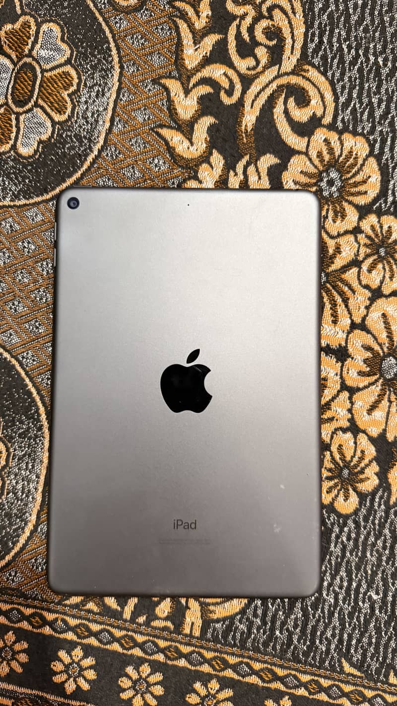 Ipad mini 5 0