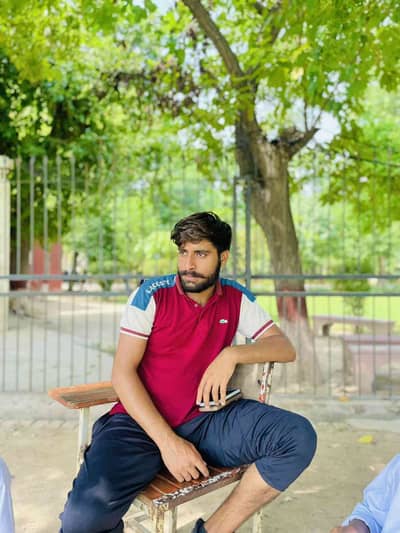 Ali dhillon 