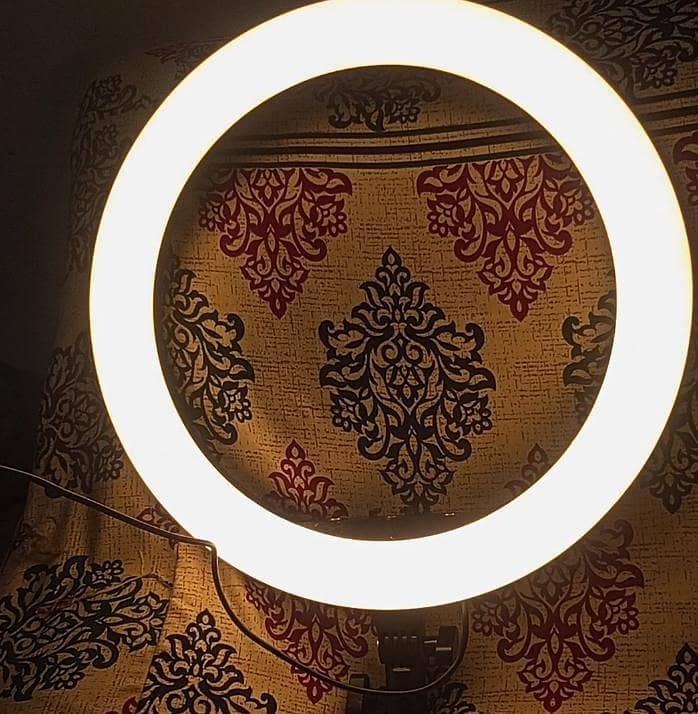TikTok ring light full box 4