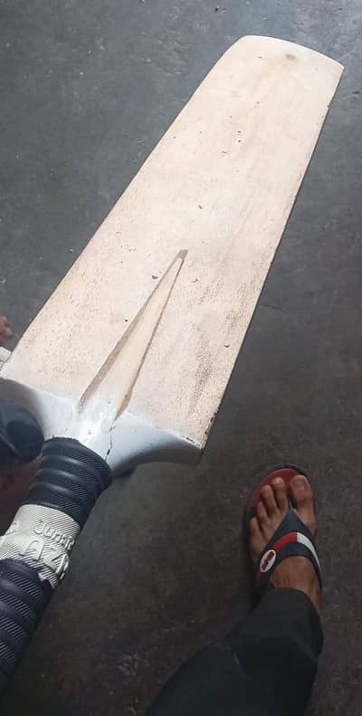 Bat for sale