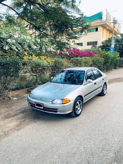 Honda Civic Dolfine
