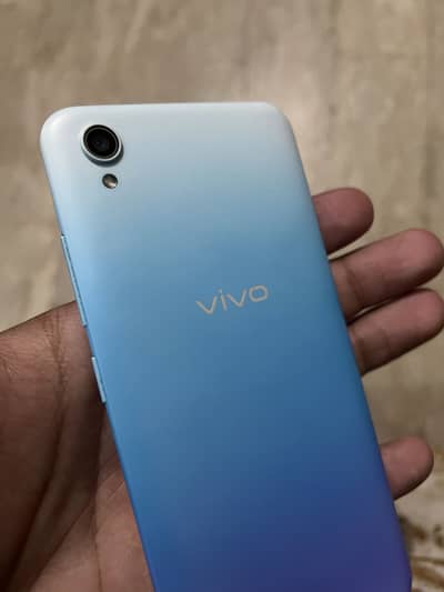 vivo 2015_21