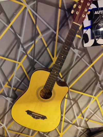 Guitar
