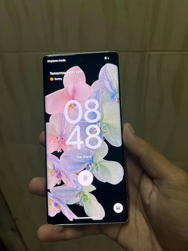 Google Pixel 6 Pro 1