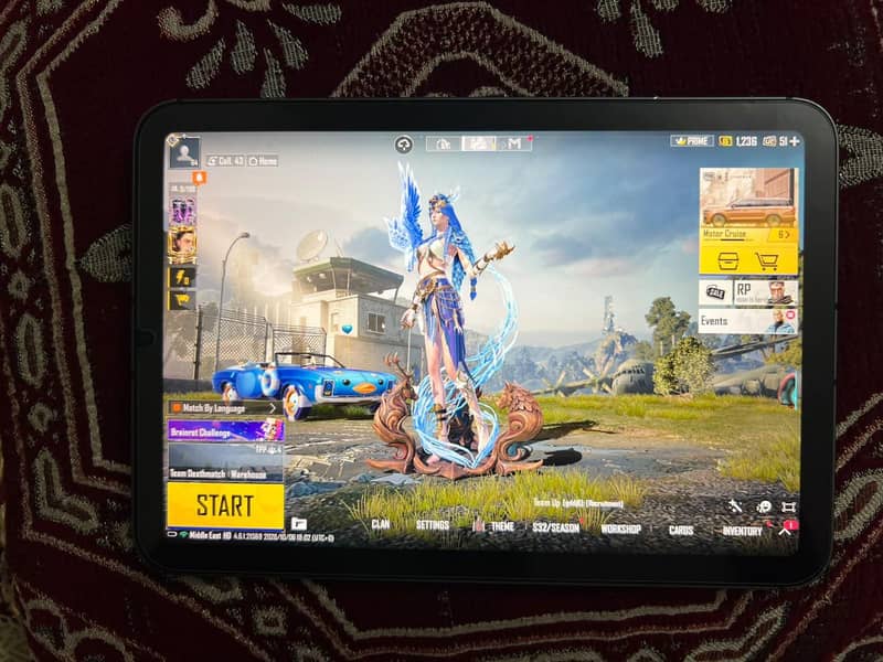ipaid mini 6 4
