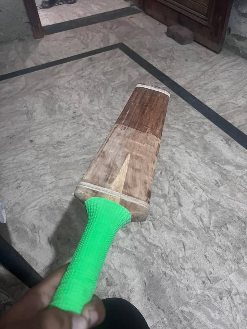 MB bat & SA bat 1