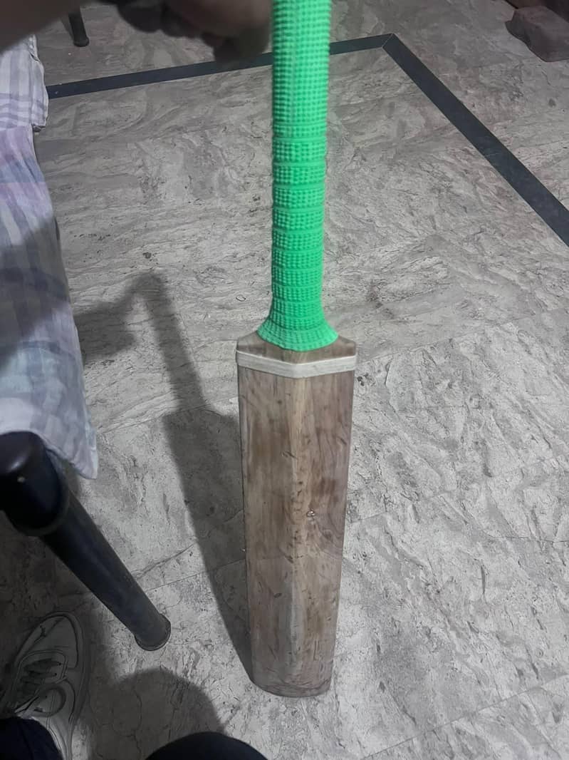 MB bat & SA bat 2