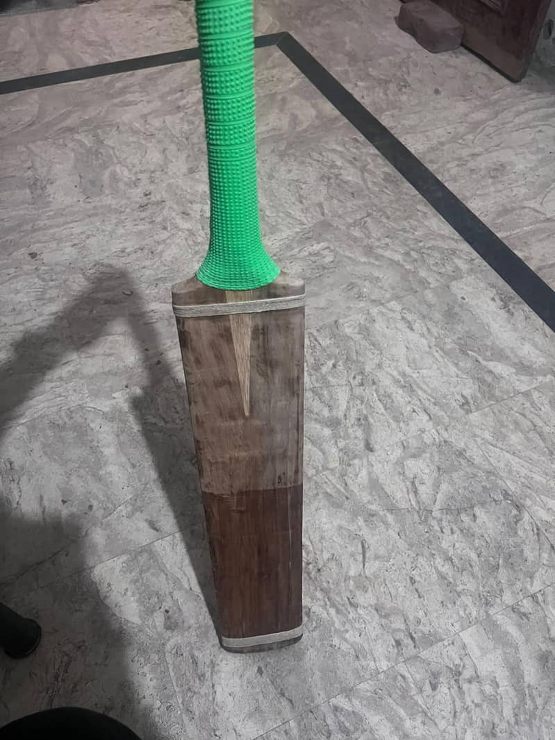 MB bat & SA bat 5