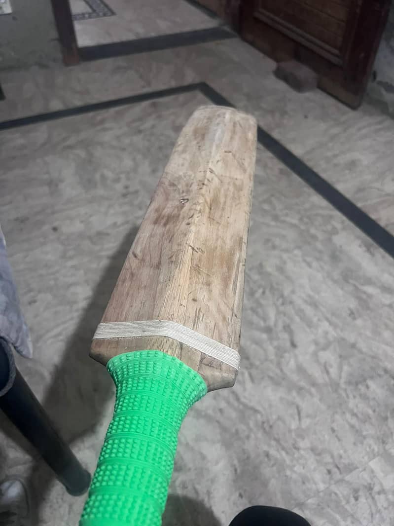 MB bat & SA bat 6