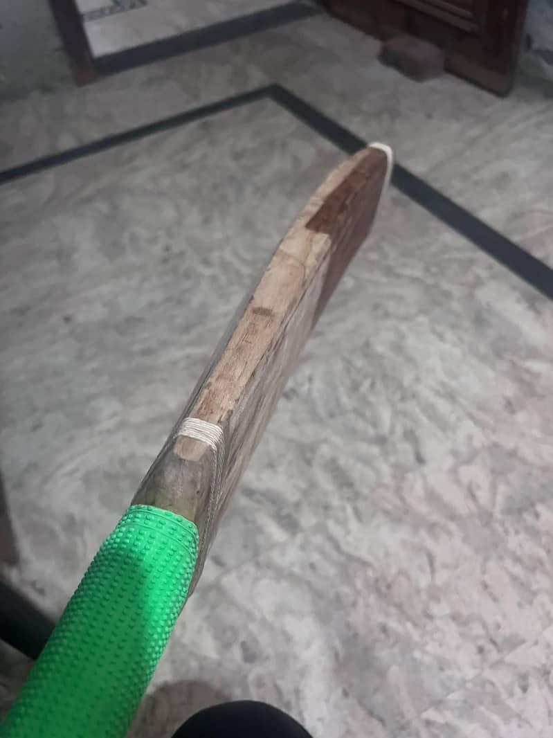 MB bat & SA bat 7