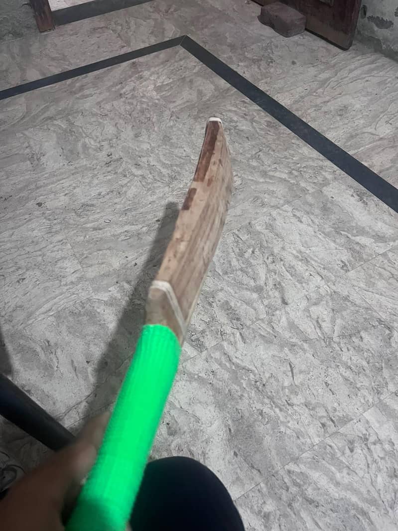 MB bat & SA bat 9