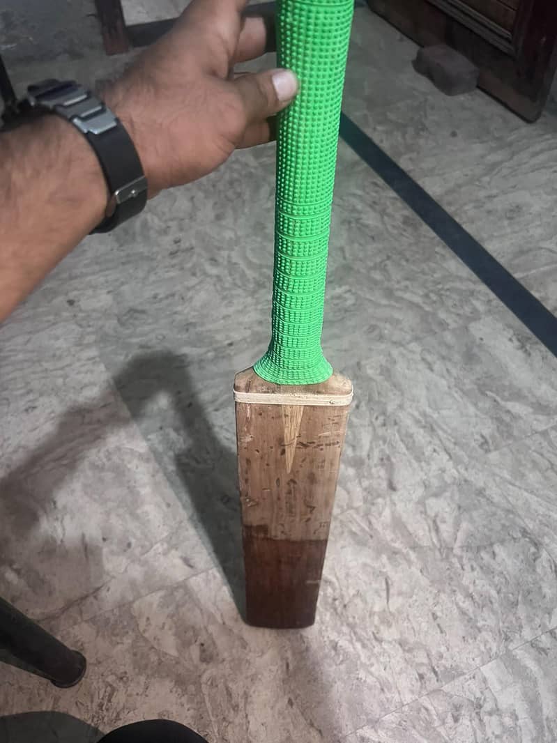 MB bat & SA bat 11