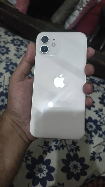 Apple iPhone 12 official pta approved