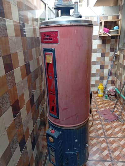 Fast Company Geyser for Sale