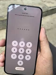 Google Pixel 9 Pro XL 1