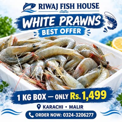 Fresh White Prawns