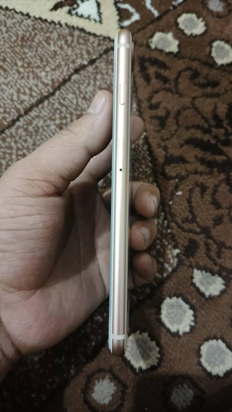 Apple iPhone 8 Plus 1
