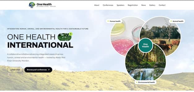 Professional Website Development | Web Design & Development Services