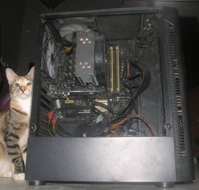 pc for sale