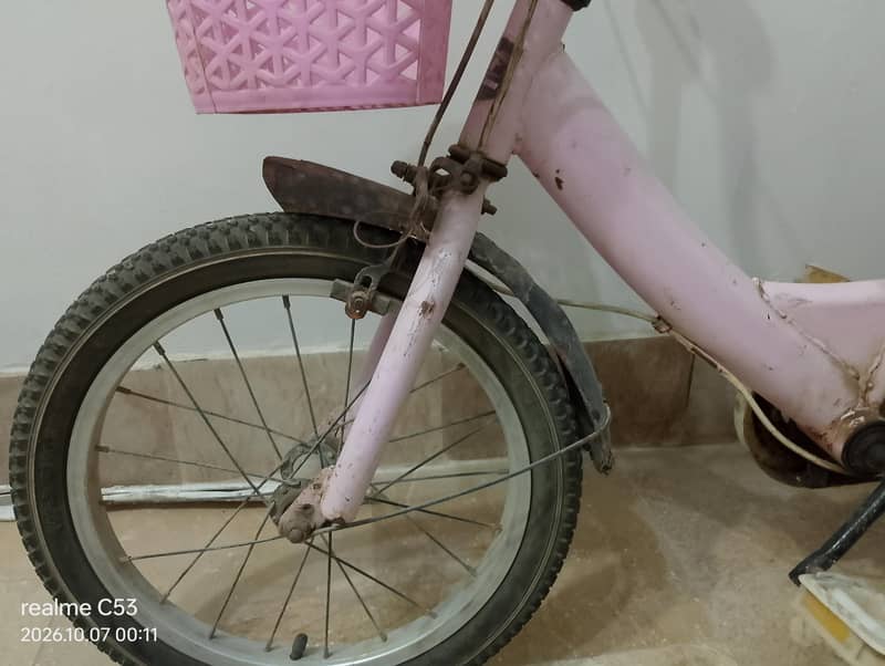 baby cycle 2