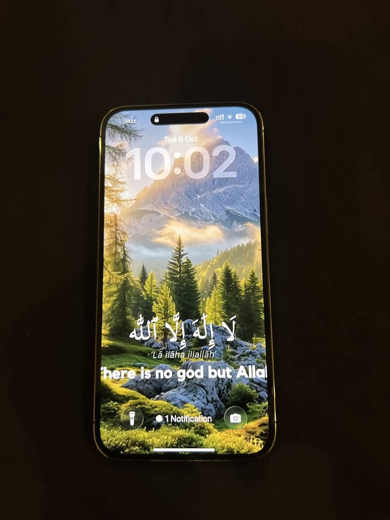 Apple iPhone 14 Pro Max 3