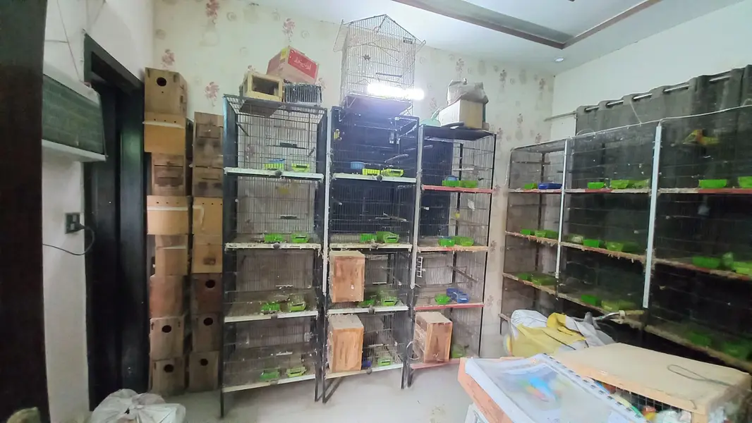 4 portion cages — photo 3