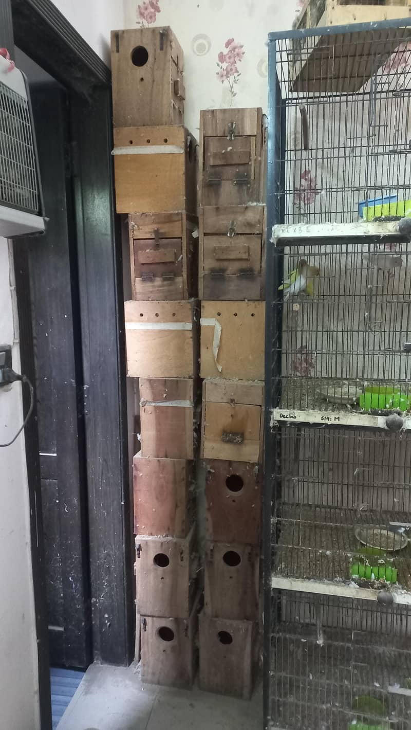 4 portion cages 3
