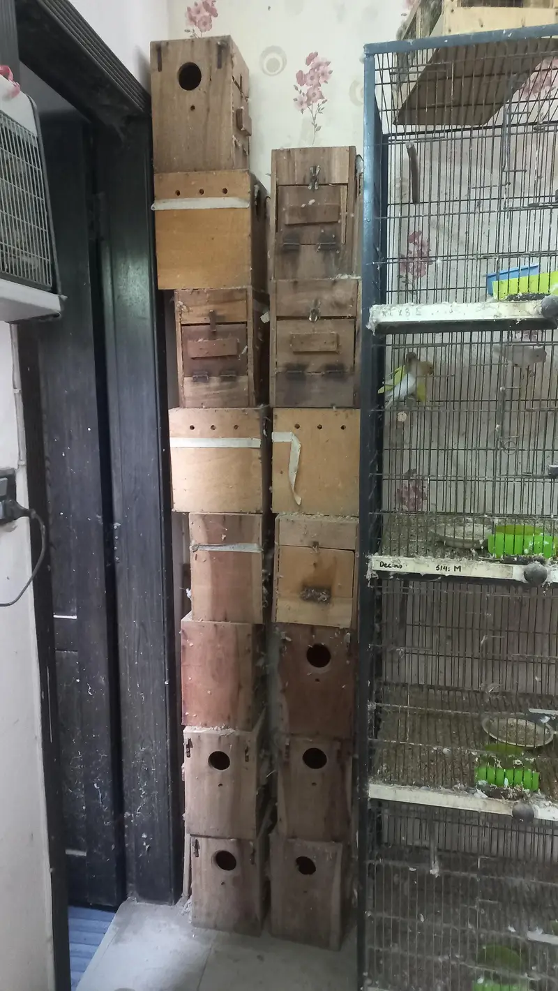 4 portion cages — photo 4