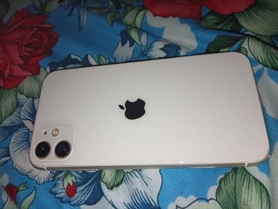 Apple iPhone 11 Jv