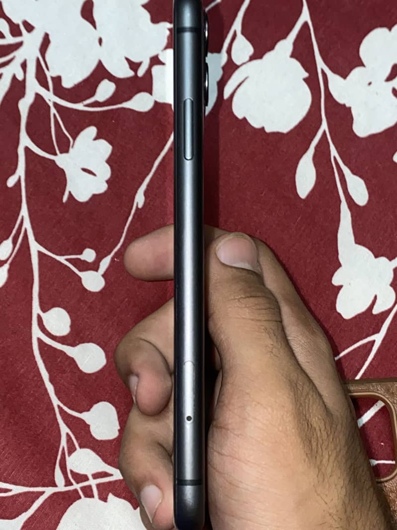 Apple iPhone 11 0