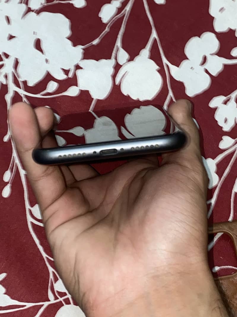 Apple iPhone 11 1