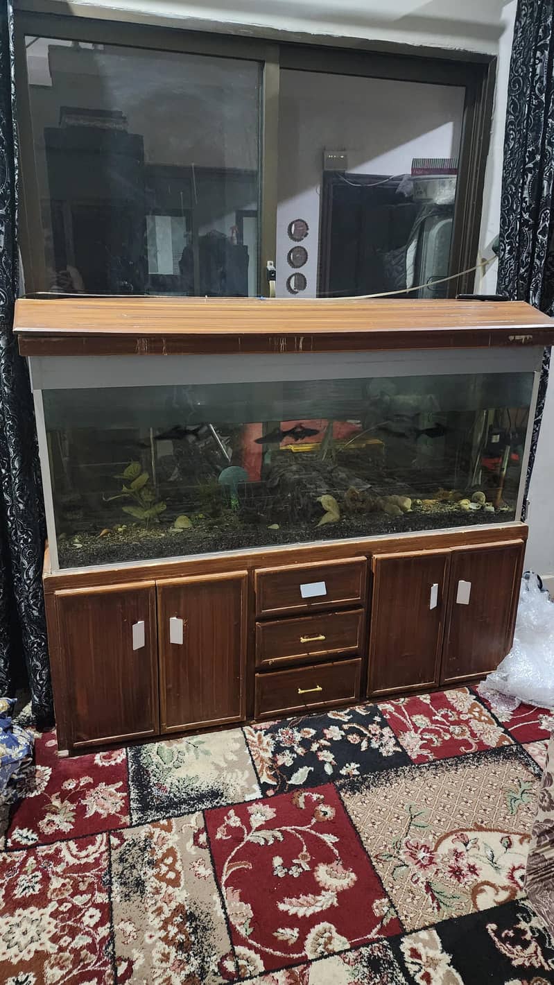 Aquarium 0