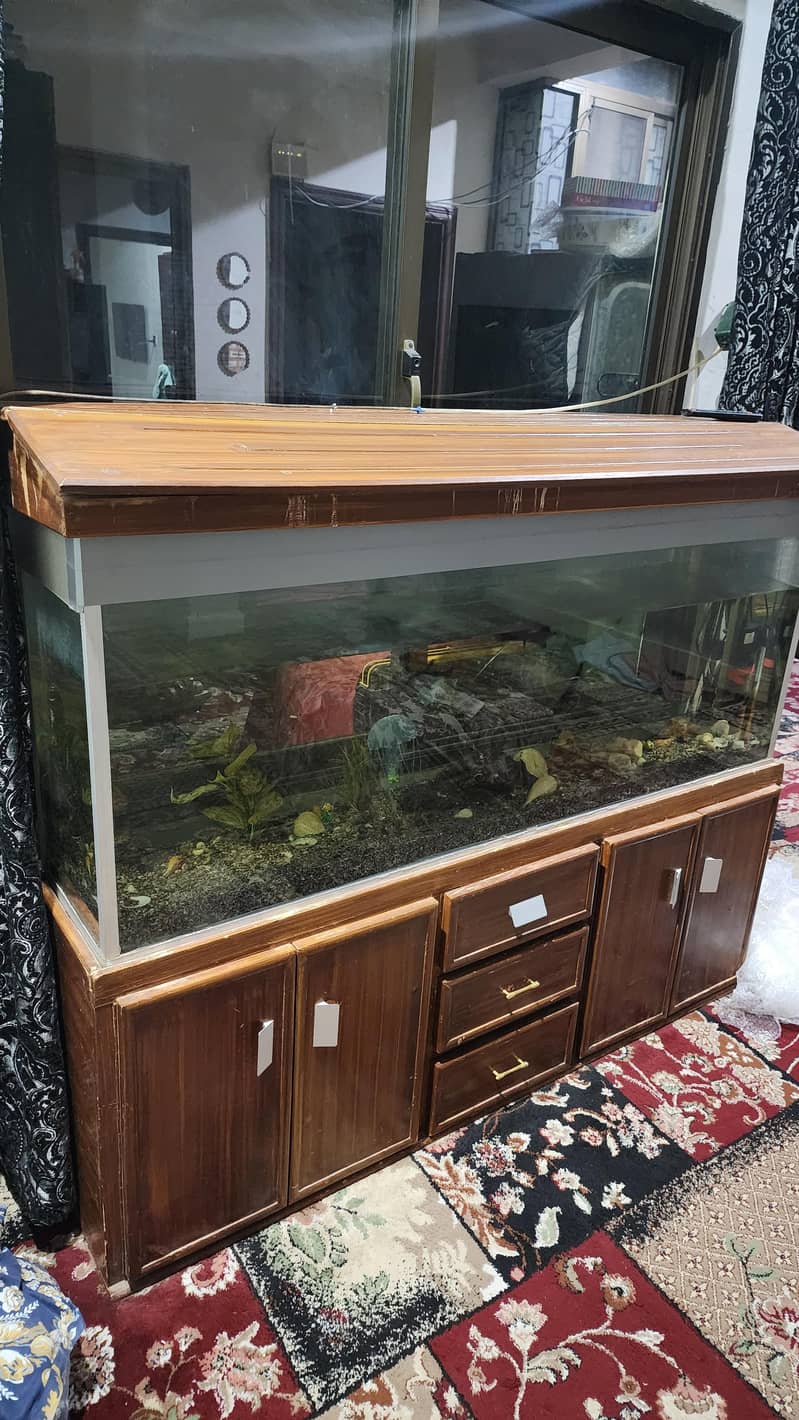 Aquarium 1