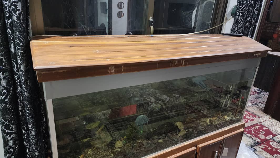 Aquarium 3