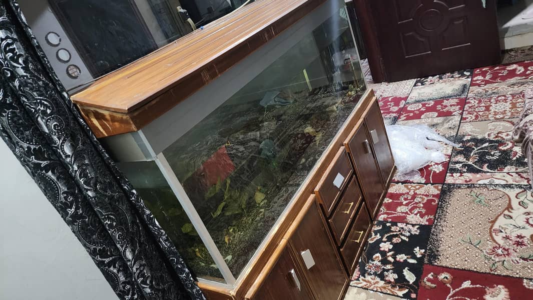 Aquarium 4