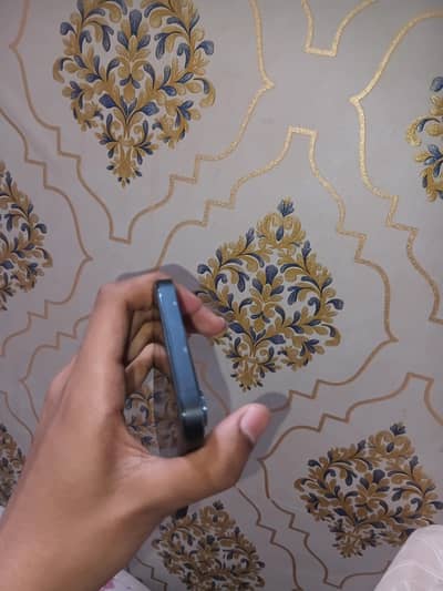 Apple iPhone 12 Pro