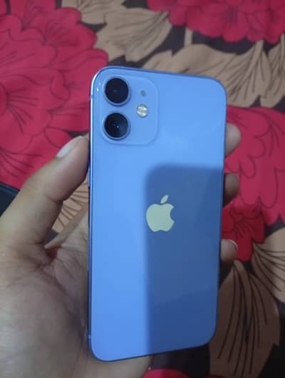 Apple iPhone 12 mini